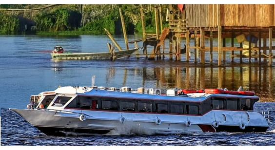 50Mais Vai de Barco mini ok